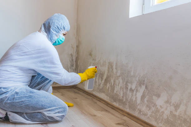 Licensed Crawl Space Mold Remediation service in Hoboken, NJ - Car Mold Remediation