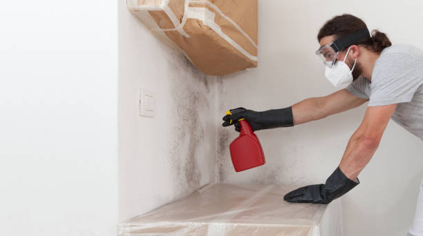 Professional Crawl Space Mold Remediation technician working in Hoboken, NJ