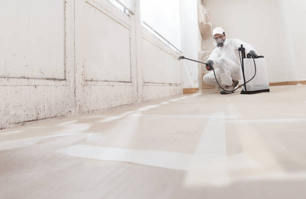24/7 Emergency Crawl Space Mold Remediation experts in Hoboken, NJ
